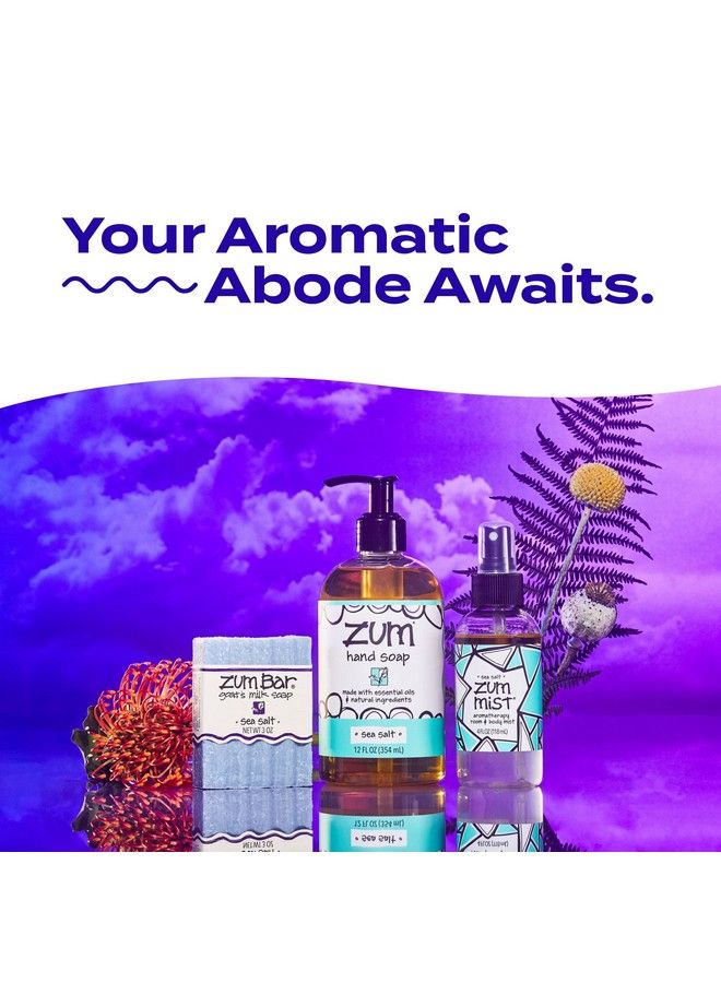 Hand Soap Sea Salt 12 Fl Oz (4 Pack)