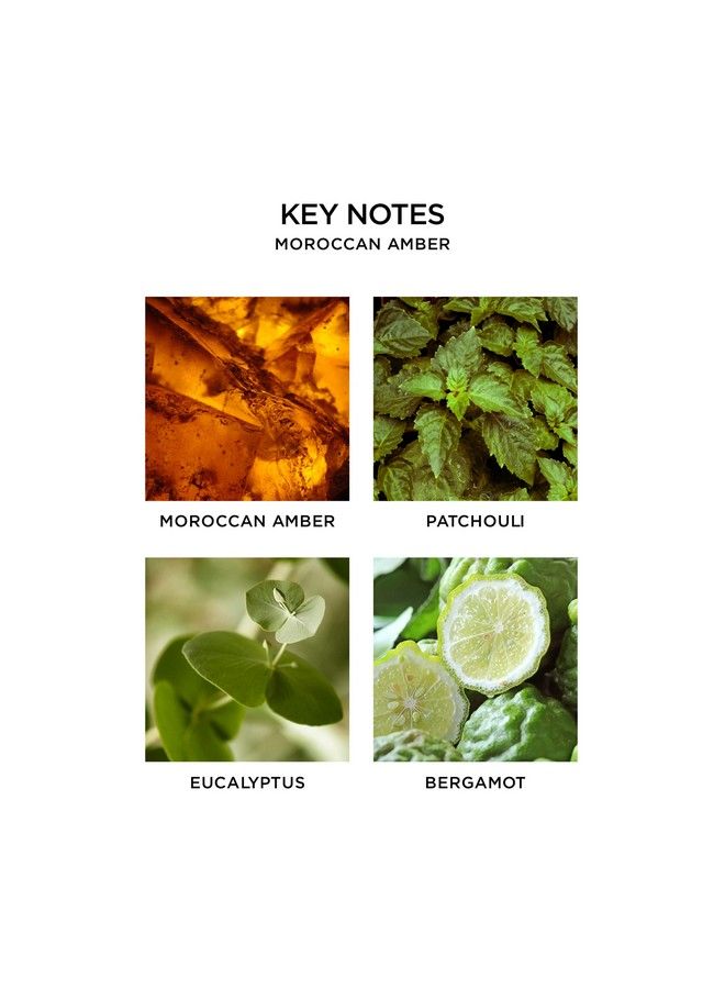 Moroccan Amber Liquid Hand Soap 10 Fl Oz