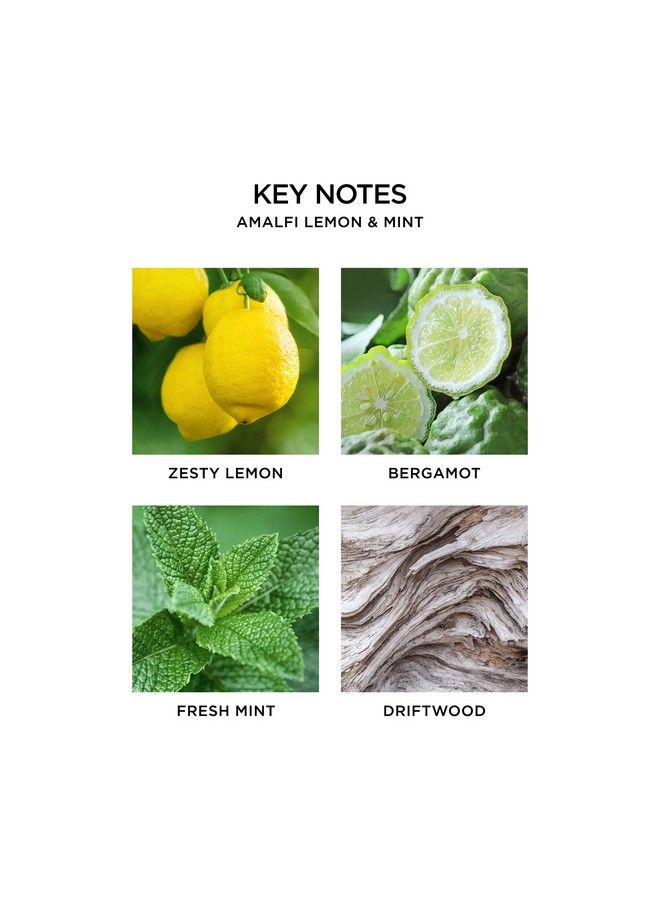 Amalfi Lemon & Mint Liquid Hand Soap 10 Ounce