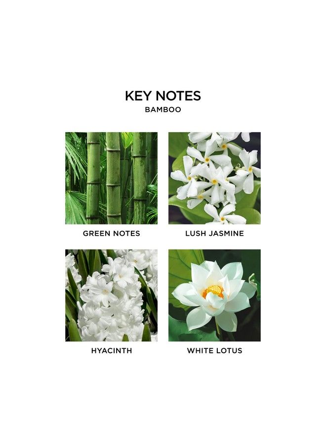 Nest New York Bamboo Liquid Hand Soap