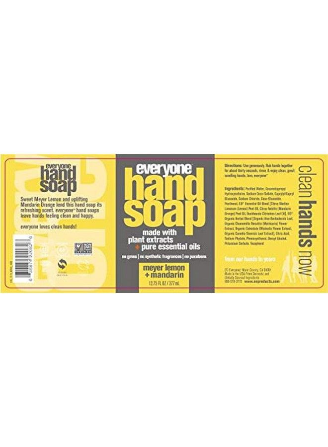 Hand Soap Meyer Lemon And Mandarin