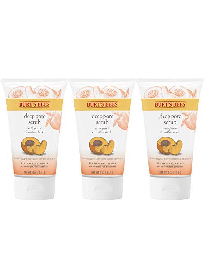 Exfoliating Face Wash Deep Pore Facial Cleanser Exfoliator With Willow Bark 4 Ounce (Pack Of 3) (Packaging May Vary)