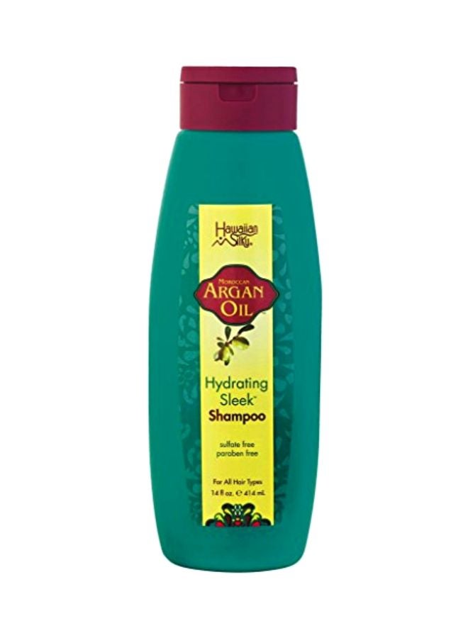 Argan Oil Hydrating Sleek Shampoo