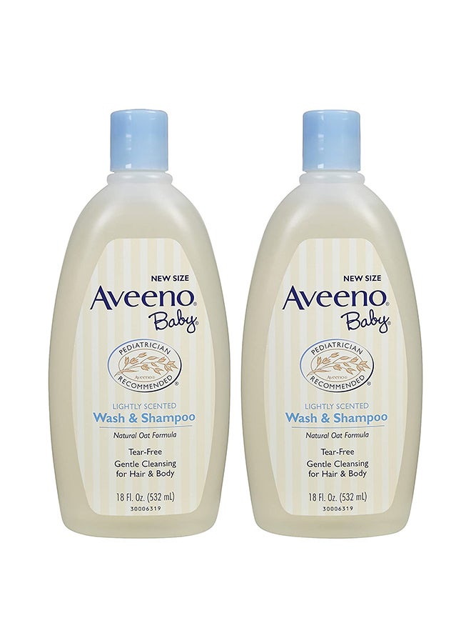 Pack Of 2 Lightly Scented Wash And Shampoo