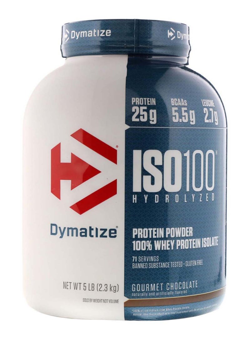 ISO 100 Hydrolyzed Whey Protein Powder