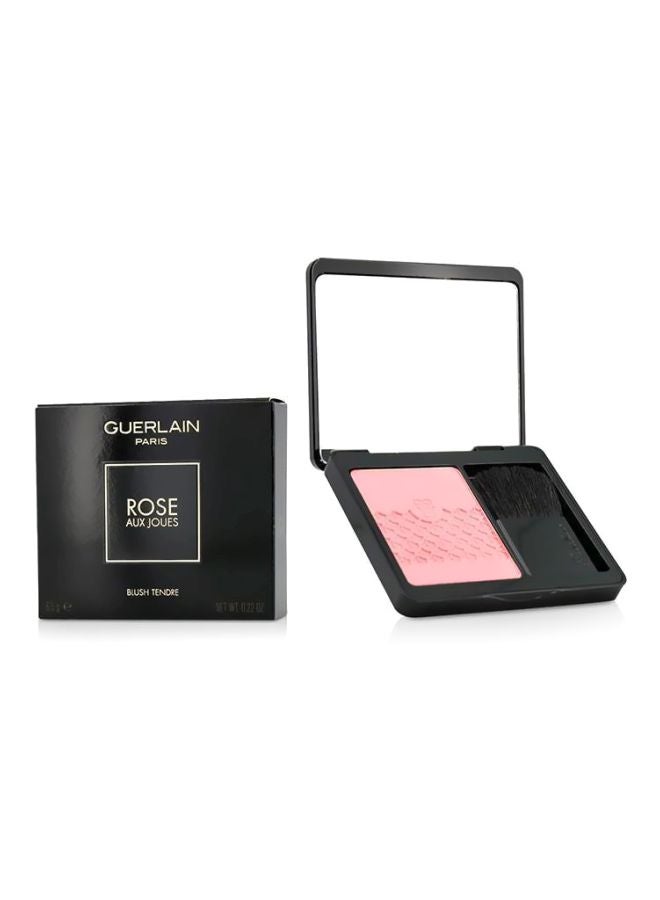 Rose Aux Joues Tender Blush 06 Pink Me Up