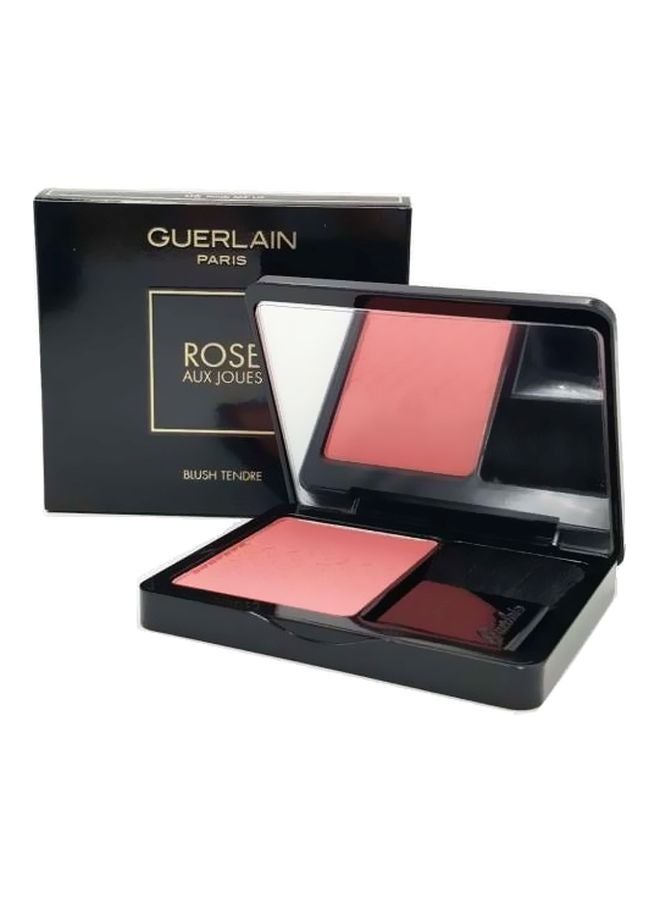 Rose Aux Joues Tender Blush 06 Pink Me Up