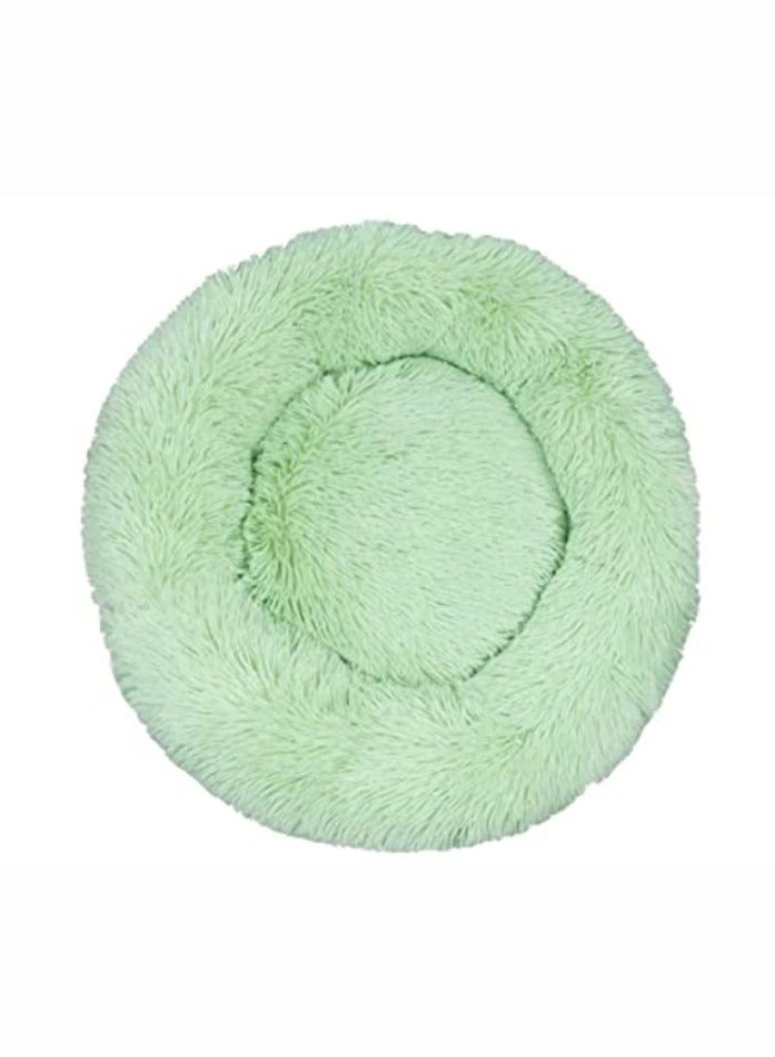 ComfyCraze Donut Shaped Cat Bed (Green) - Cozy Pet Haven - Raised Edges, Super Warm Plush Fur, 60cm Diameter - Non-Slip Bottom, Removable & Washable - Ideal for Small/Medium Pets