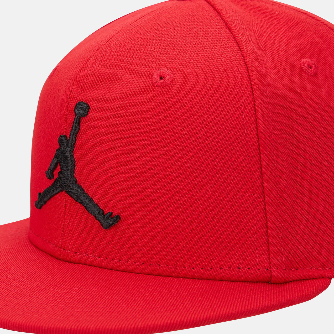 Men's Jumpman Pro Cap