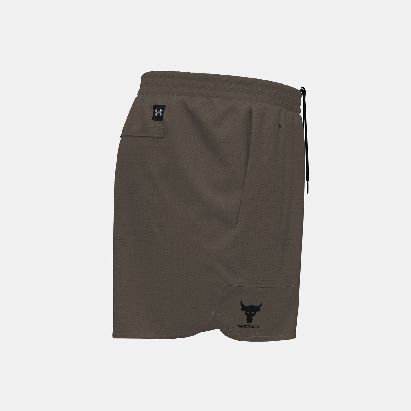 Men's Project Rock Camp Shorts