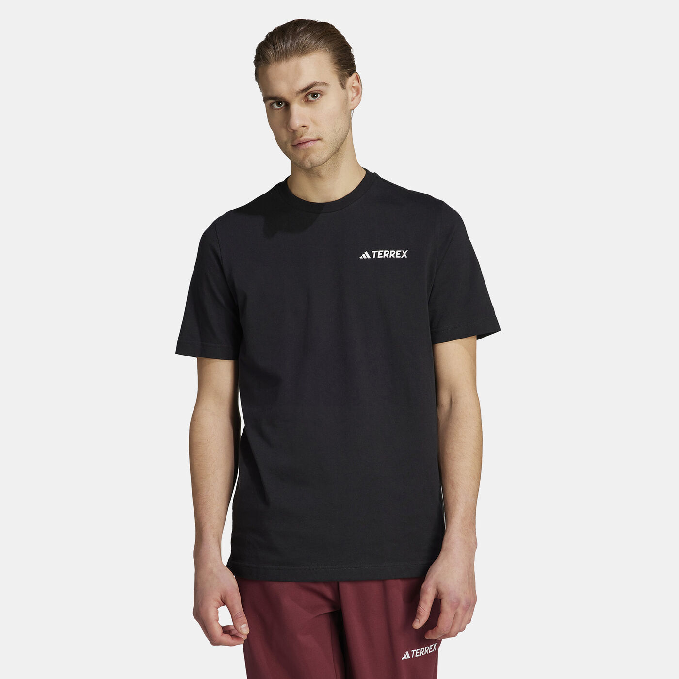 Men's Terrex Graphic MTN 2.0 T-Shirt