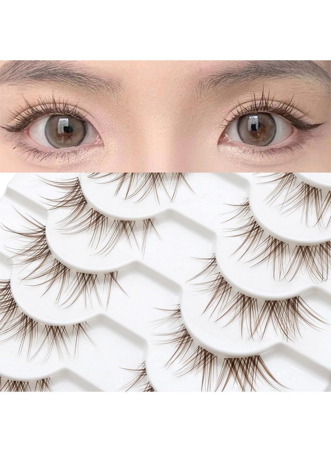 10 Pairs Brown Lashes Clear Band Brown Manga Lashes Japanese Anime Cosplay Brown Eyelashes Asian False Eyelashes Natural Look Like Individual Clusters(A02Brown Cat Eye Lashes 813Mm)