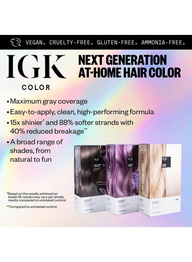 Permanent Color Kit (2Pack) Surf Club Light Cool Blonde 9Na Easy Application + Strengthen + Shine Vegan + Cruelty Free + Ammonia Free