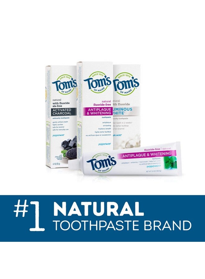 Travel Size Anticavity Fresh Mint Toothpaste 3 Oz. 6Pack (Packaging May Vary)