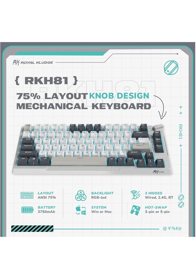 H81 Hot Swappable Mechanical Keyboard, Triple Mode RGB SkyCyan