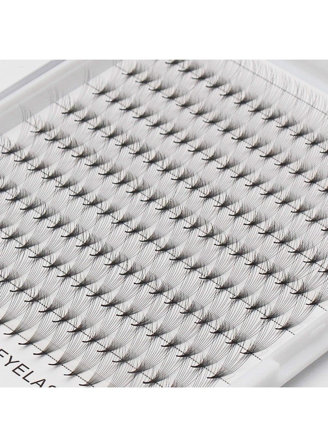 10D Large Tray 1018Mm To Choose Premade Volume Fans Eye Lashes Extensions Thickness 0.07Mm D Curl Natural Long Individual False Eyelashes Cluster (11Mm)