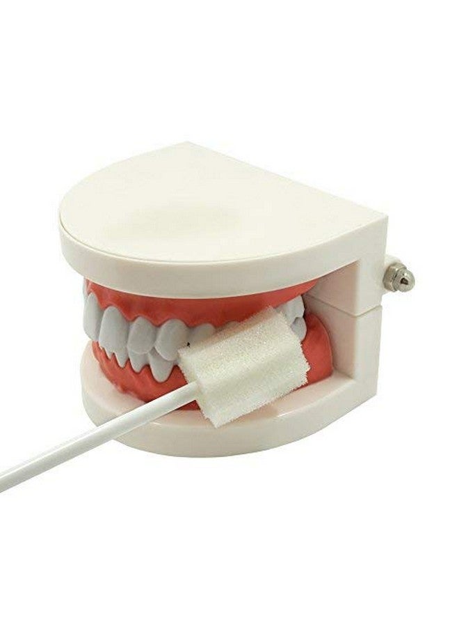 Oral Swabs Disposable Untreated And Unflavored Mouth Oral Cleaning Sponge Toothbrushes White 100 Counts