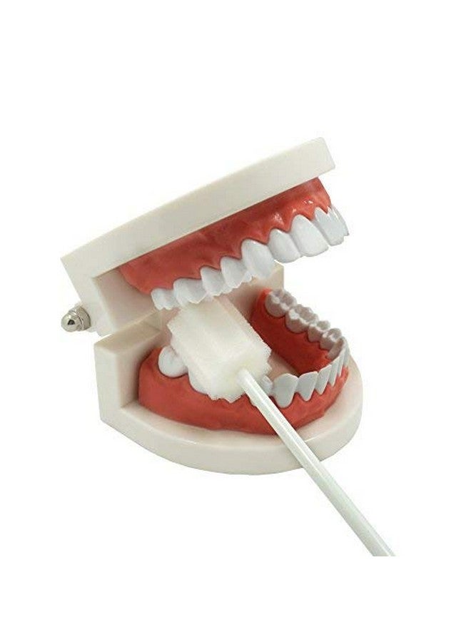 Oral Swabs Disposable Untreated And Unflavored Mouth Oral Cleaning Sponge Toothbrushes White 100 Counts