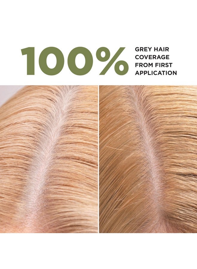 La Couleur Absolue 7.00 Blond Permanent Haircolour With Botanical Extracts Nourishing Color And Shine Free From Ammonia Ppd Resorcinol Mineral Oils And Silicone Vegan