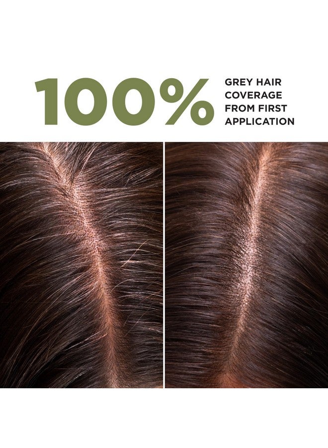 La Couleur Absolue 1.00 Intense Black Permanent Haircolour With Botanical Extracts Nourishing Color And Shine Free From Ammonia Ppd Resorcinol Mineral Oils And Silicone Vegan