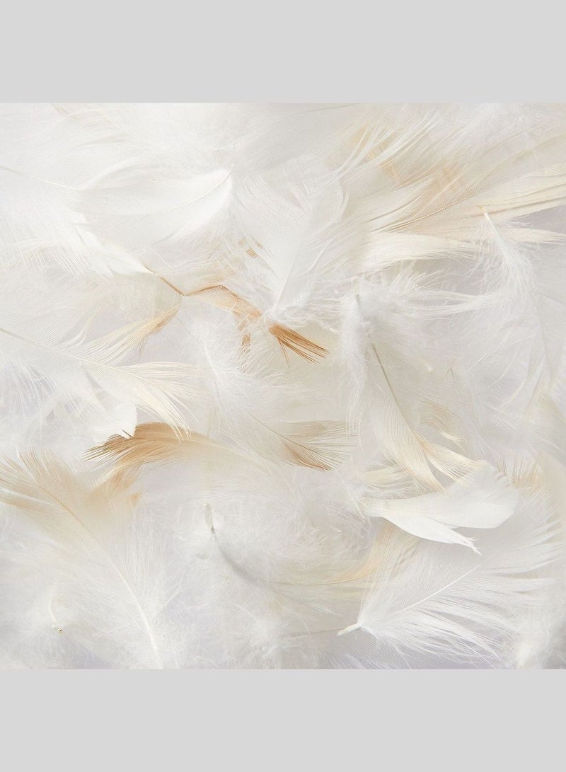 Feather Pillow, W 43 x L 63 cm, White