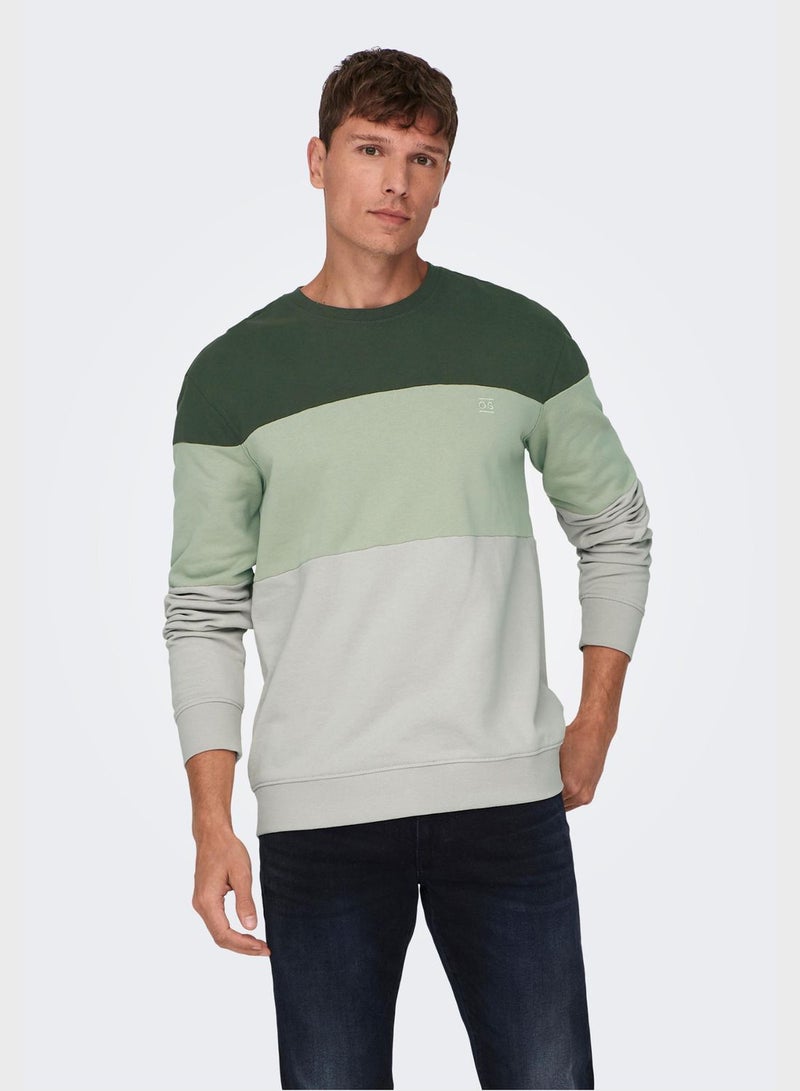 Colorblock Crew Neck Sweatshirt
