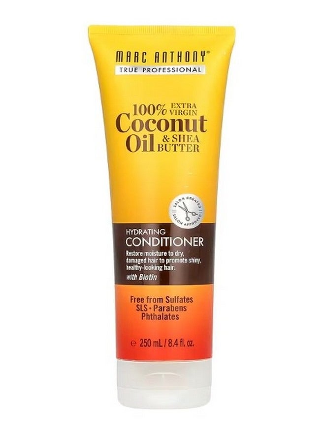 Hydrating Conditioner 100 Extra Virgin Coconut Oil and Shea Butter 8.4 fl oz 250 ml