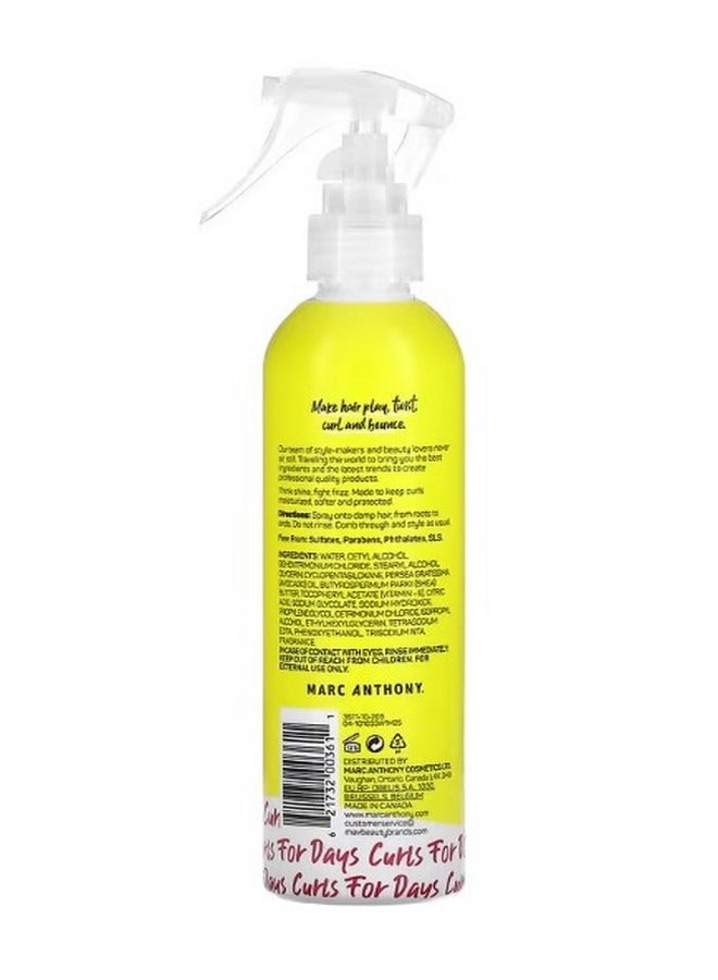 Strictly Curls Curl Envy Leave In Conditioner Avocado Oil  Shea Butter 8.4 fl oz 250 ml