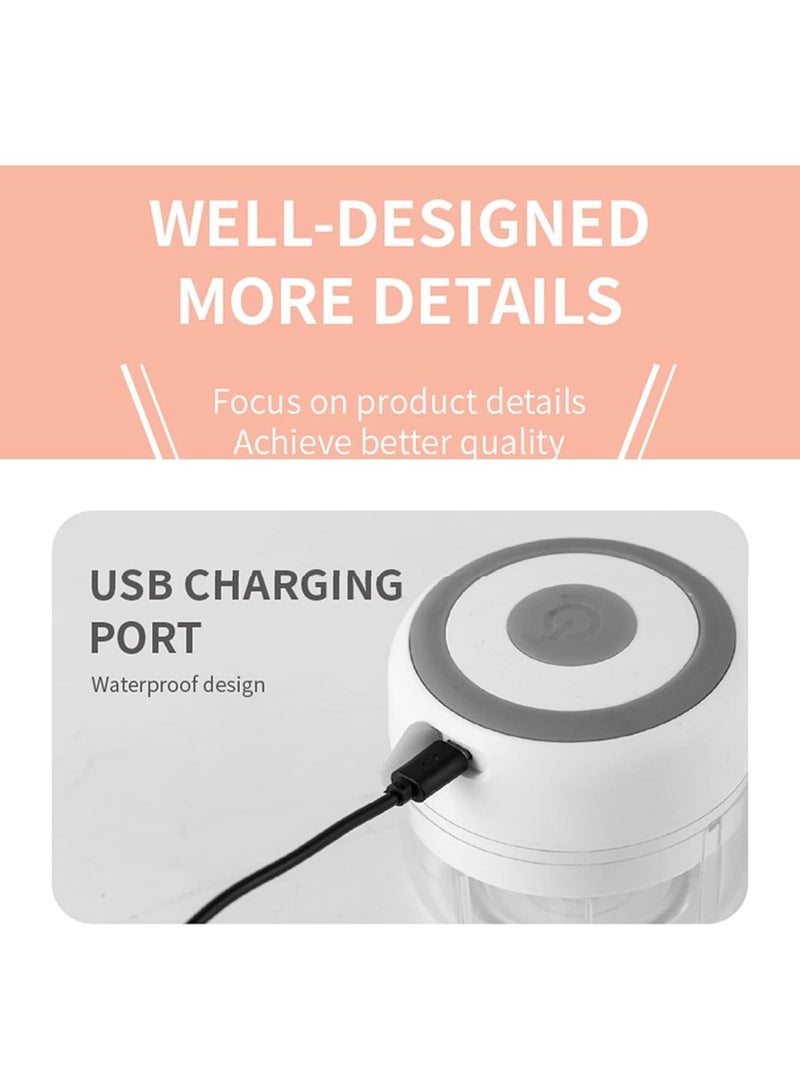 250ML Usb Portable Small Electric Food Chopper