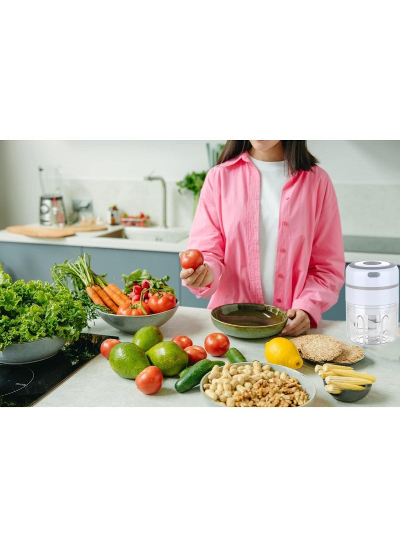 250ML Usb Portable Small Electric Food Chopper