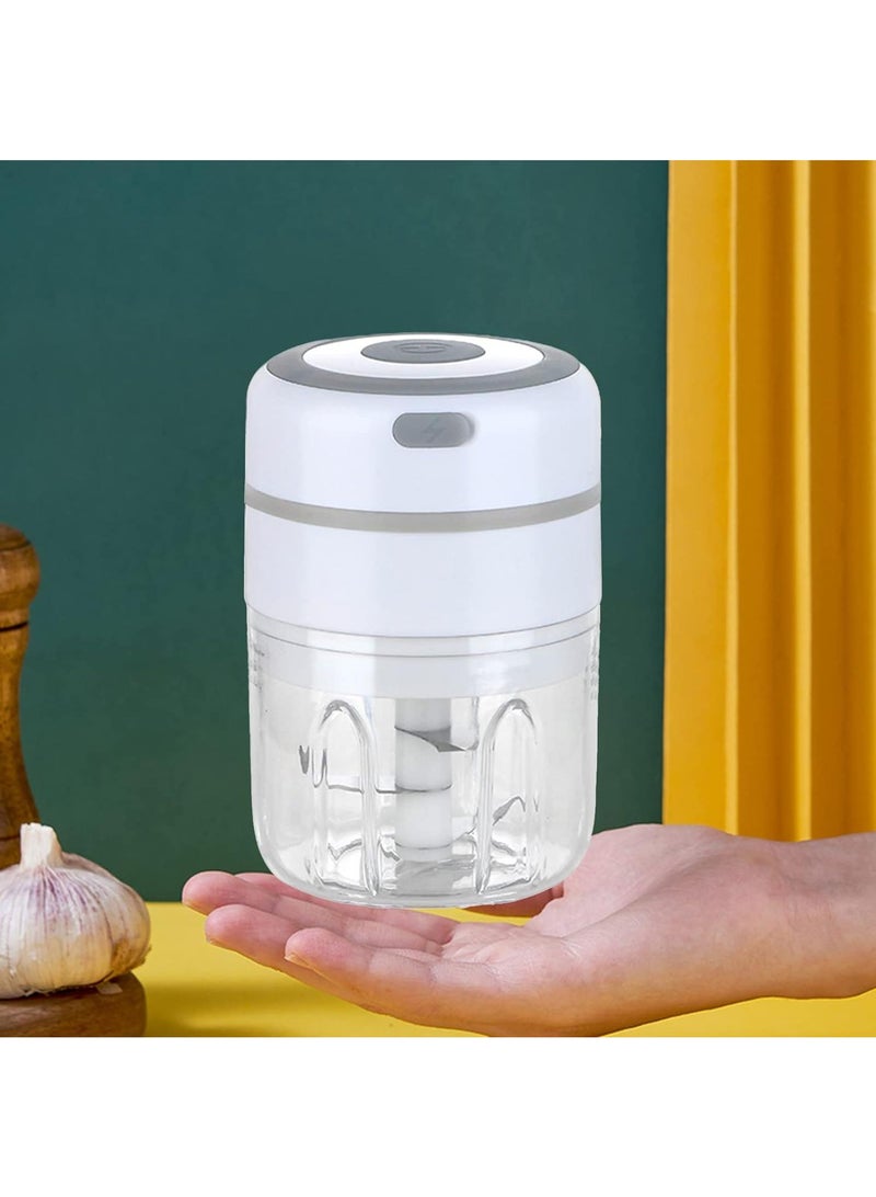 250ML Usb Portable Small Electric Food Chopper