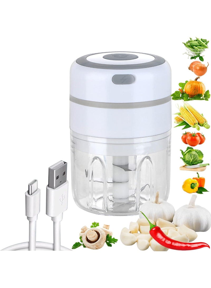 250ML Usb Portable Small Electric Food Chopper
