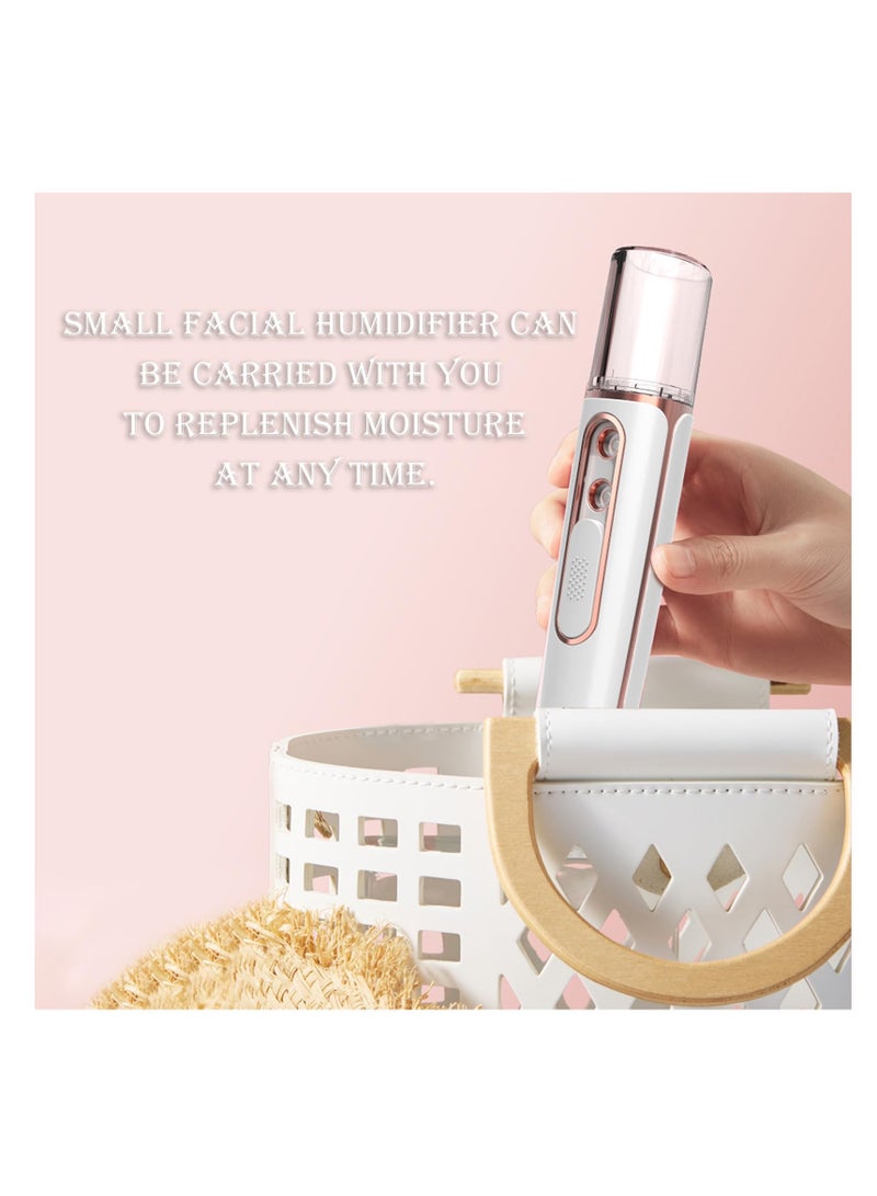 Nano Facial Mister, Portable Mini Steamer with 2 Spray Nozzle, USB Rechargeable, Visual Water Tank, Handy Mist Sprayer for Eyelash Extensions, Skin Care, Daily Makeup, Face Hydrating - Pink