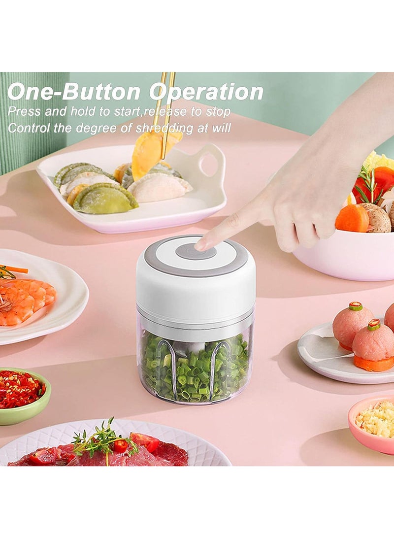 250ML Usb Portable Small Electric Food Chopper