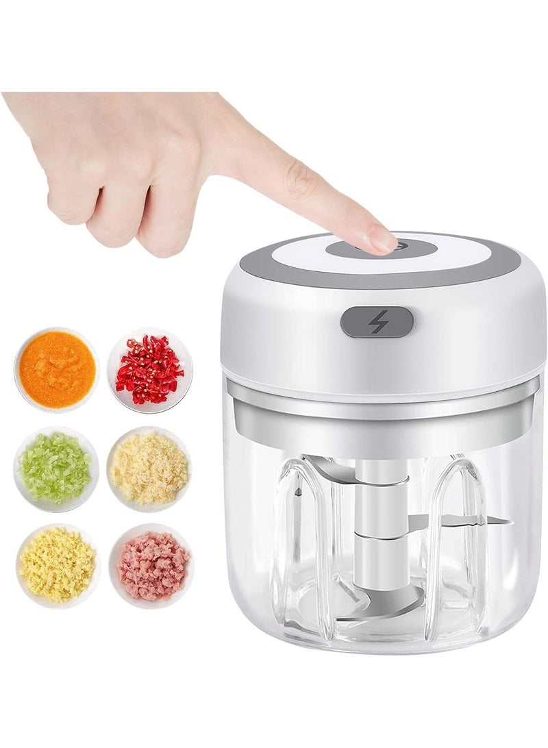 250ML Usb Portable Small Electric Food Chopper