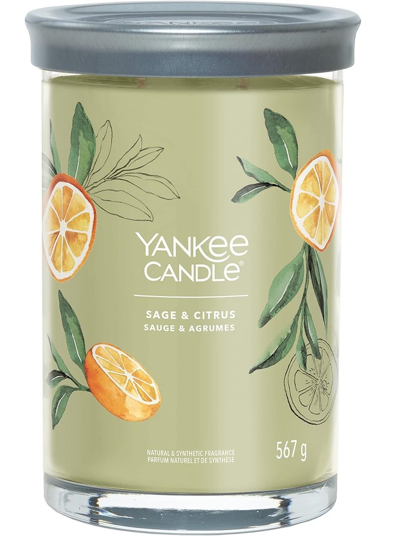 Sage & Citrus Natural & Synthetic Fragrance 567 G
