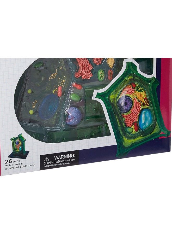 Famemaster 4Dscience Plant Cell Anatomy Model