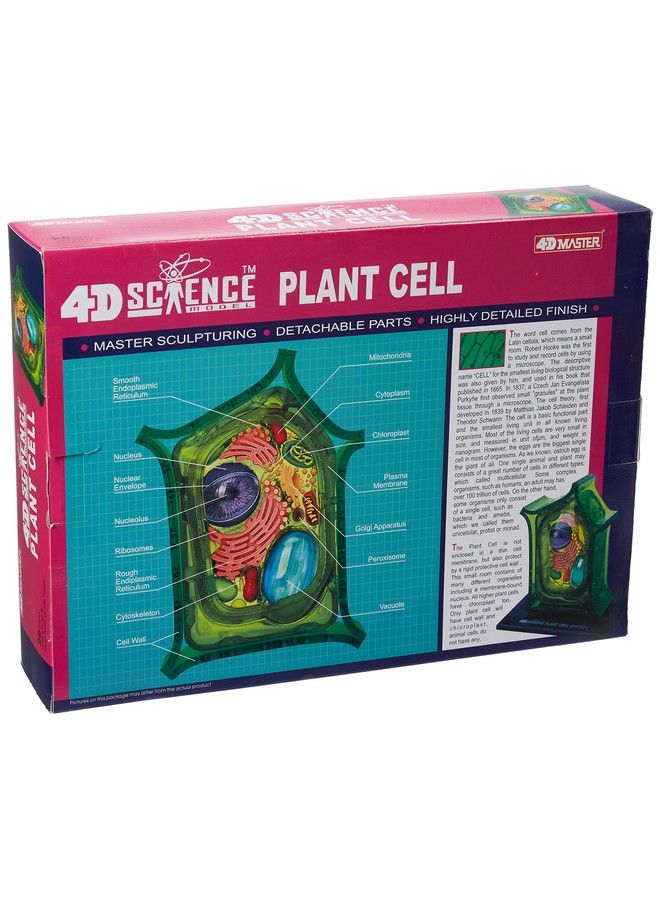 Famemaster 4Dscience Plant Cell Anatomy Model