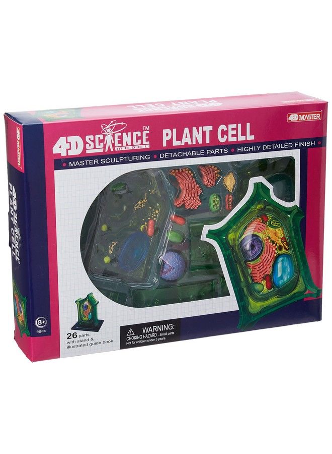 Famemaster 4Dscience Plant Cell Anatomy Model
