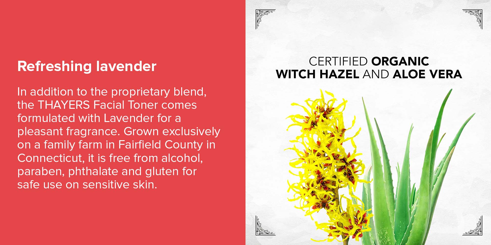 Witch Hazel Aloe Vera Formula Facial Toner