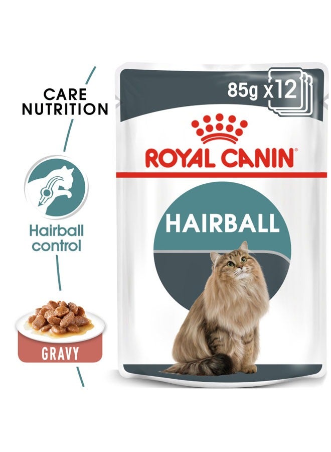 Feline Care Nutrition Hairball Gravy Wet Food Pouches