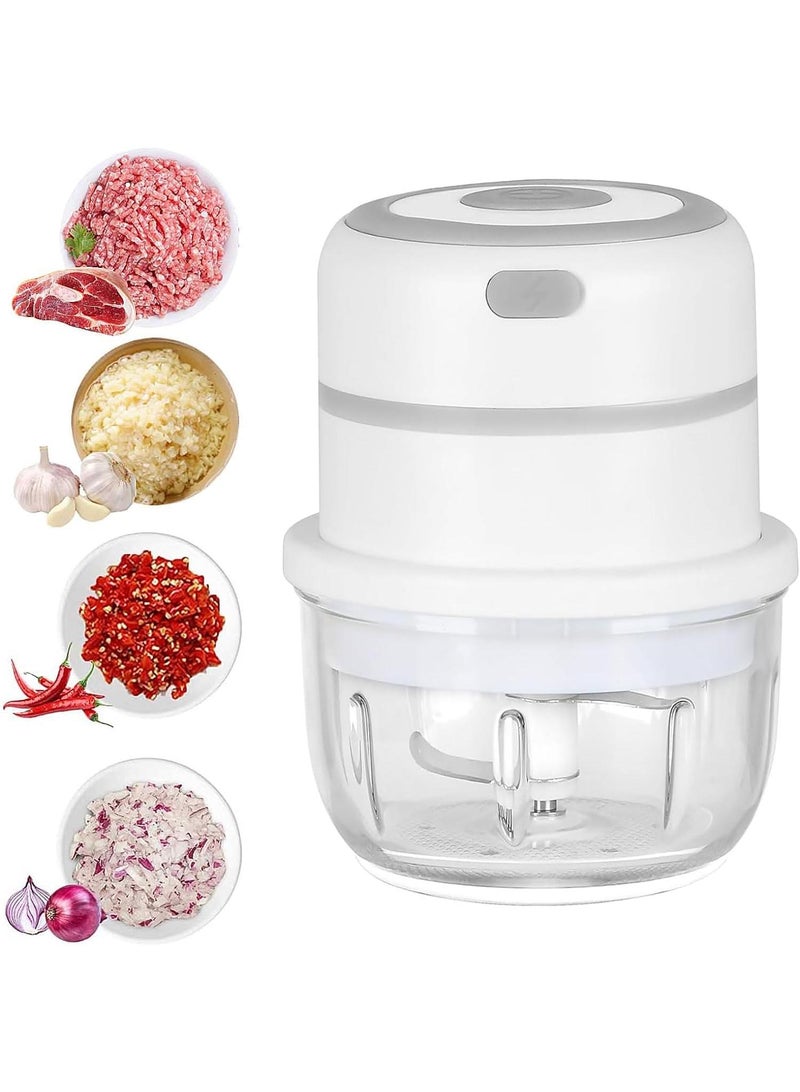 300ML Usb Portable Small Electric Food Chopper