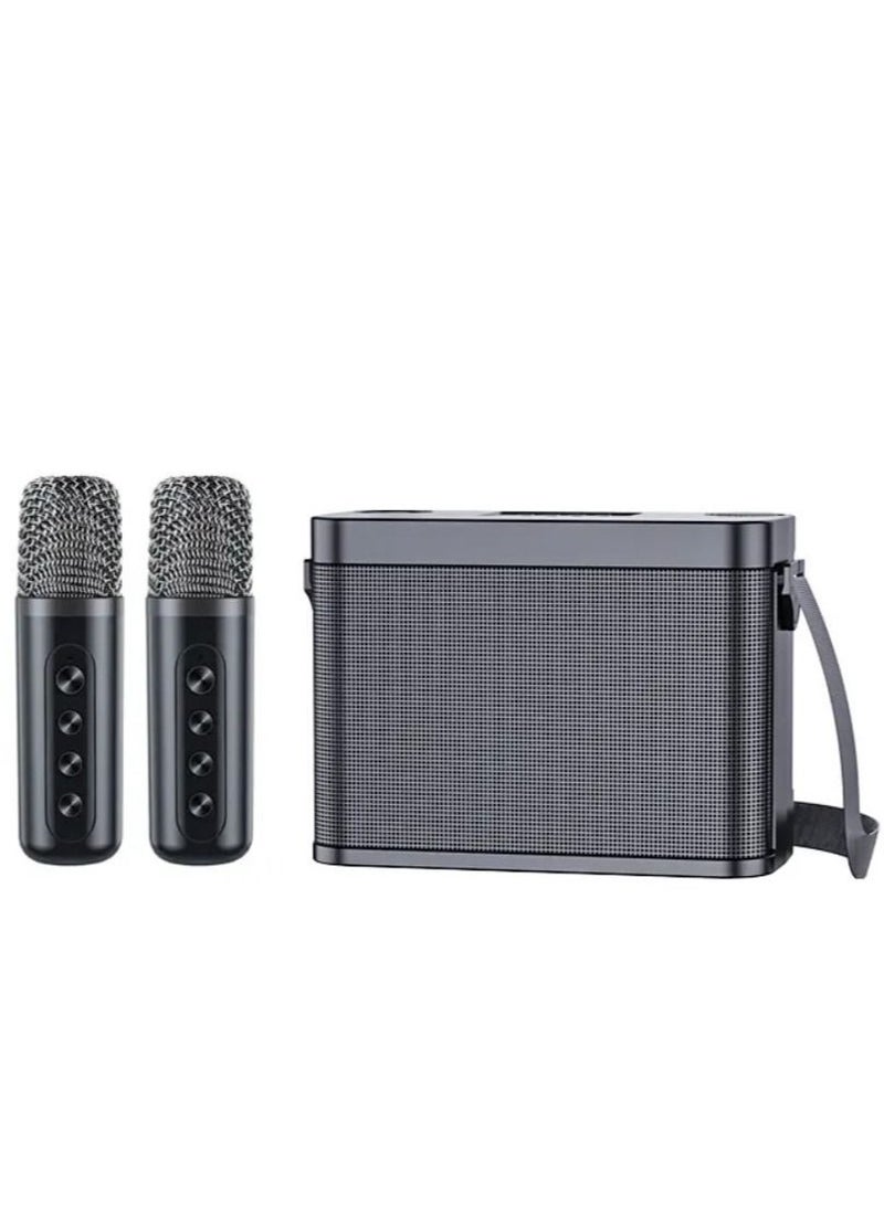 Subwoofer speaker With Double Microphones YS209 Speakers Home Entertainment Outdoor Wireless Karaoke Speaker