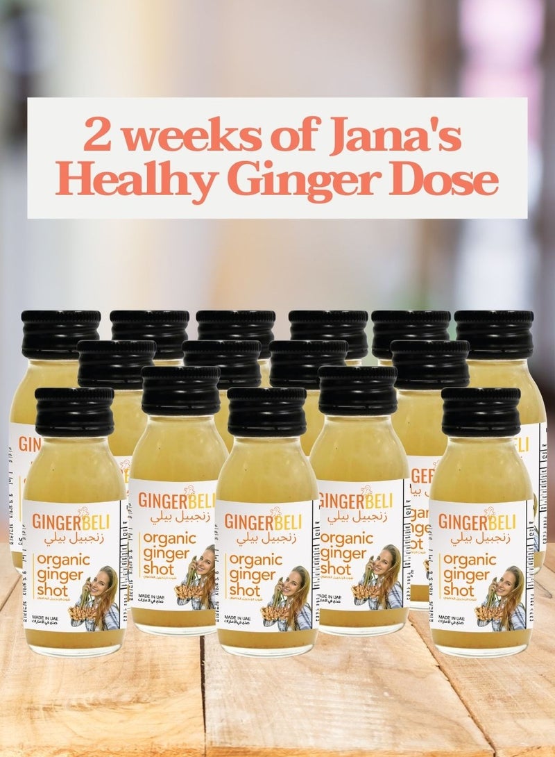 Gingerbeli Organic Ginger Shots for Digestion & Immunity 2 weeks or 1 month dose
