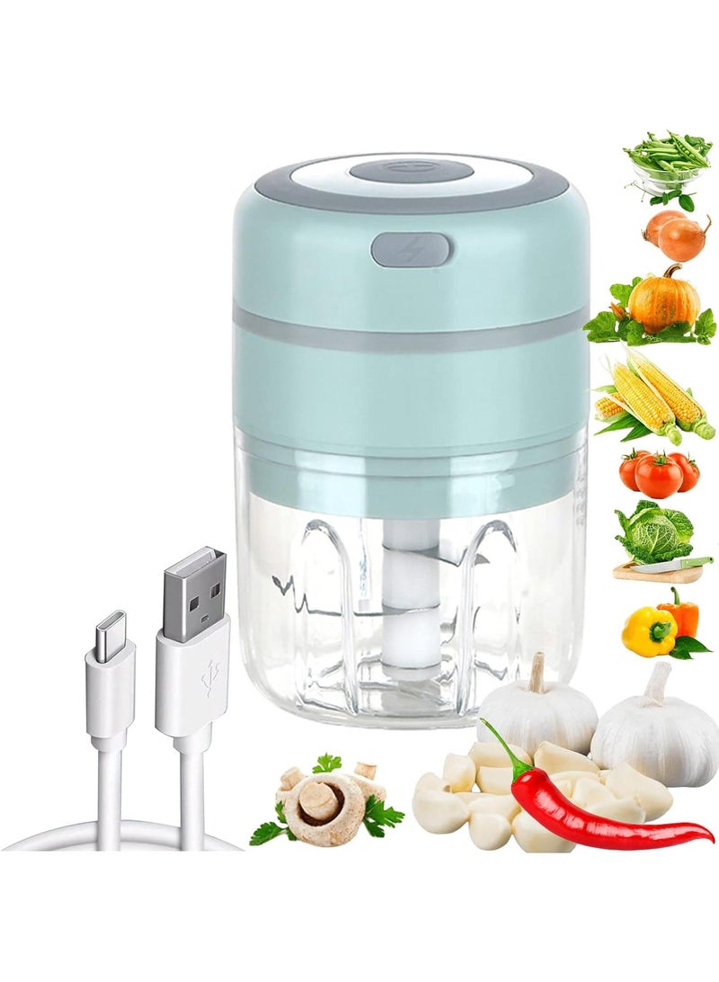 250ML Usb Portable Small Electric Food Chopper