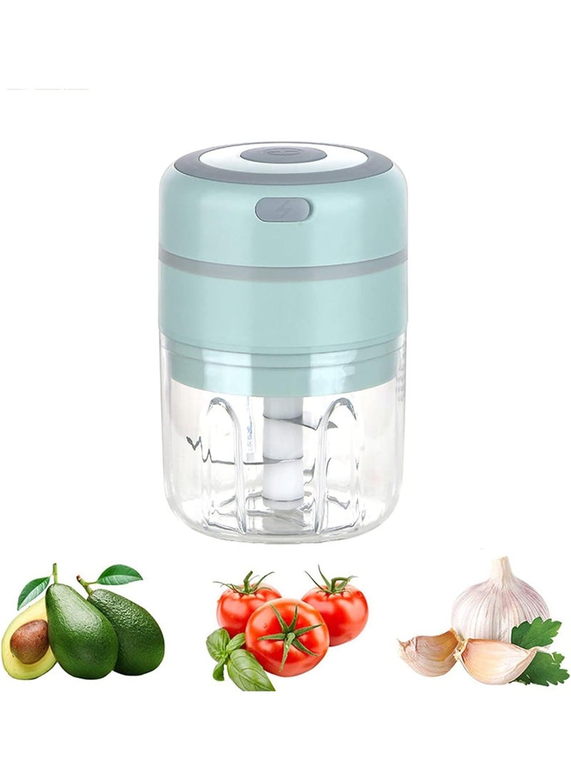 250ML Usb Portable Small Electric Food Chopper