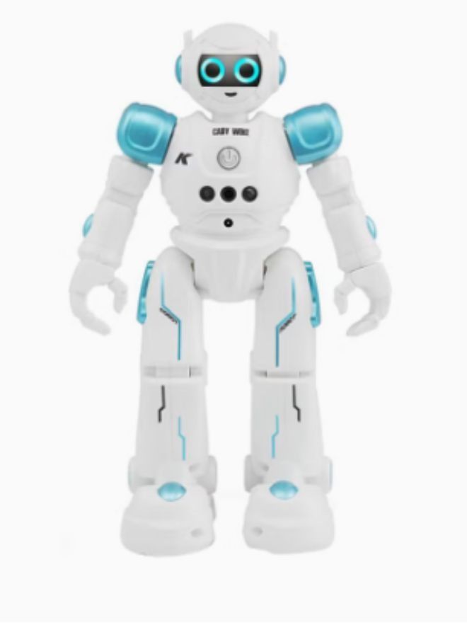 Outstanding appearance R11 27.5x16x9cm Remote Controlled Programmable Gesture Sensor Robot Toy