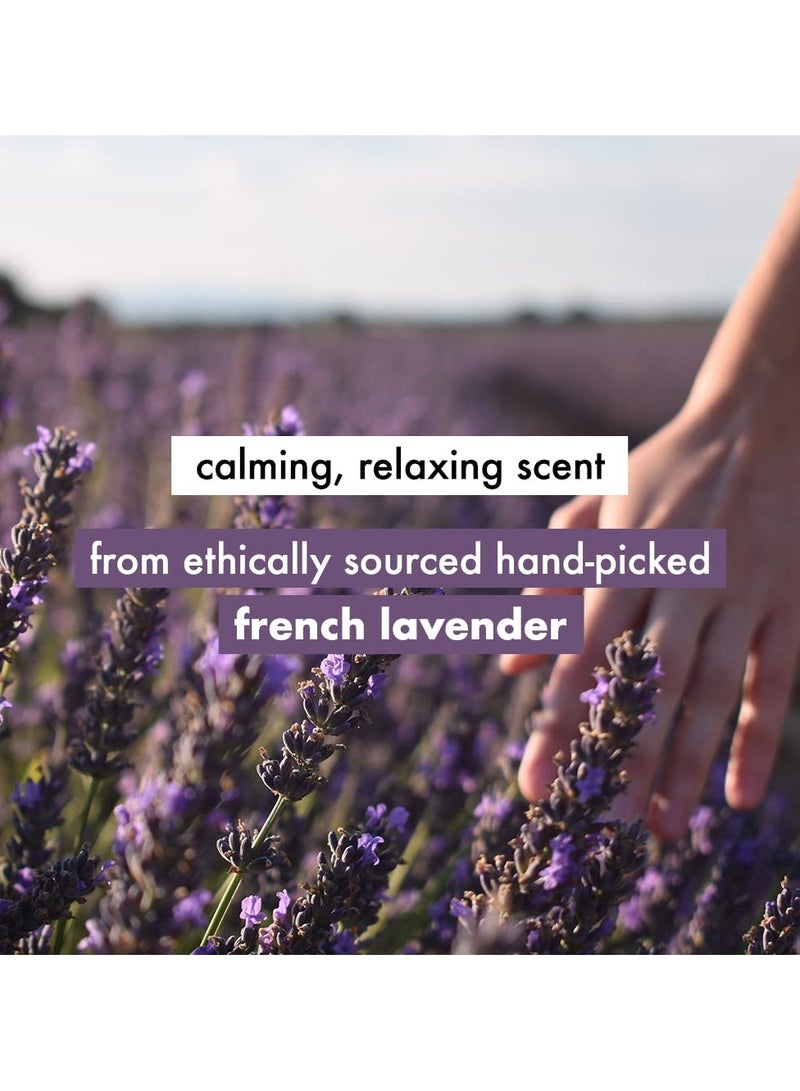 Love Beauty And Planet Shampoo For Women Made With Argan Oil and Lavender  Sulphate And Paraben Free Shampoo Smooth And Silky Hair 400ml