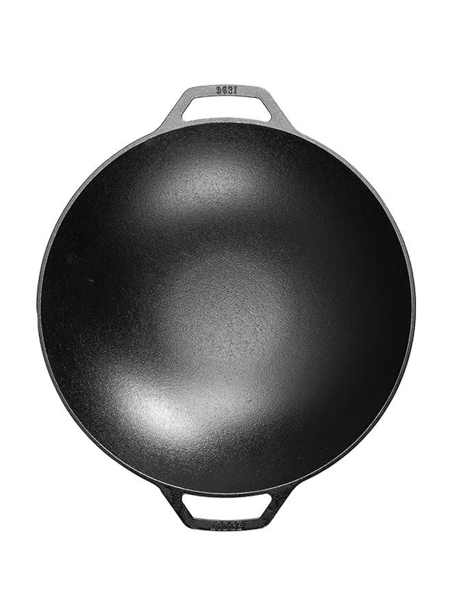 Lodge Cast Iron 14