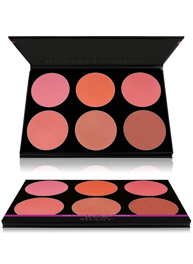 The Masterpiece 6 Colors Large Makeup Blush Palette She'S Not Shy